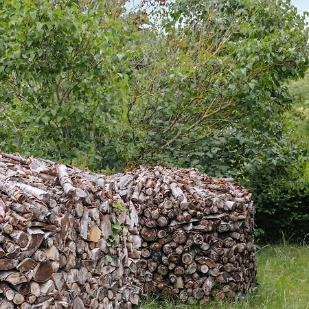 Beautiful Light On Lovely Helgenaes Vakantiehuis